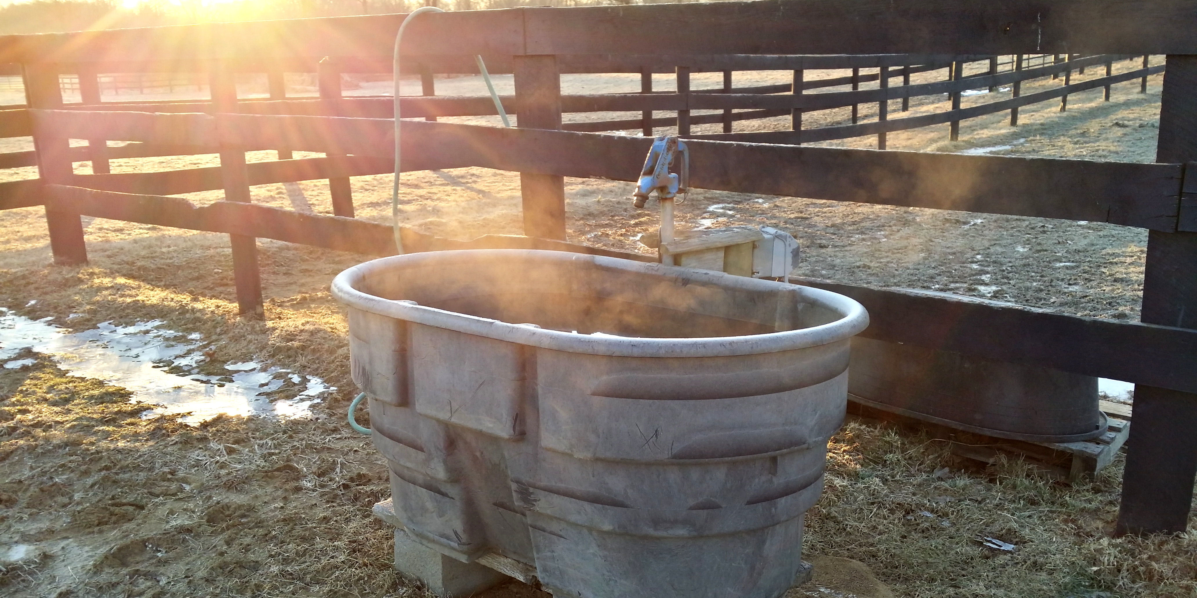Water trough with properly working tank heater