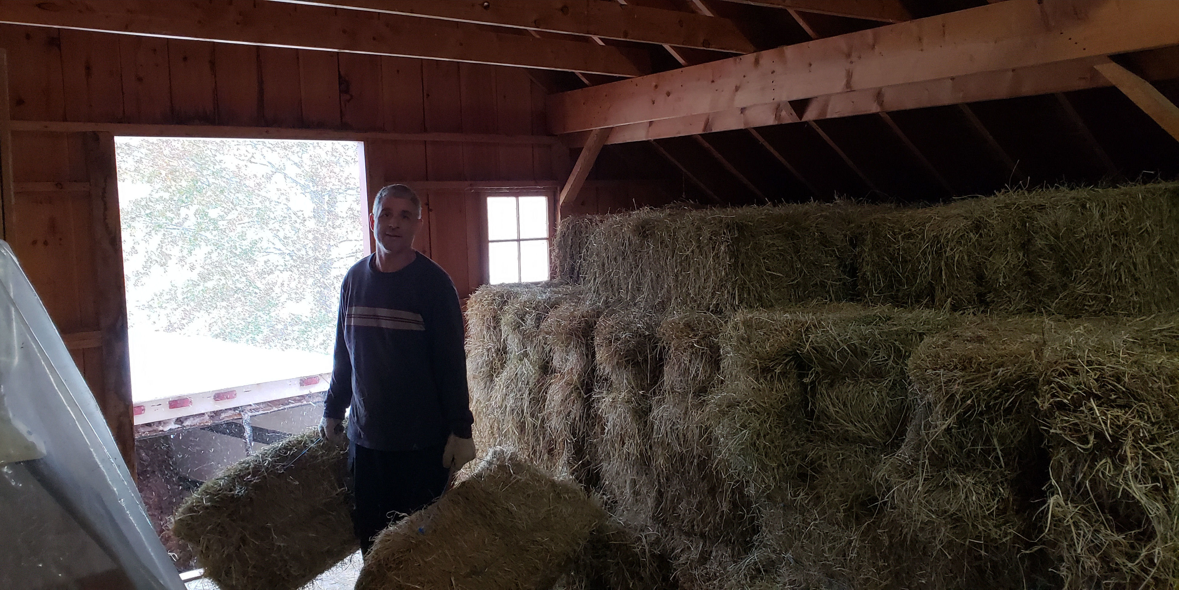 Tristain, our hay supplier stocking the loft