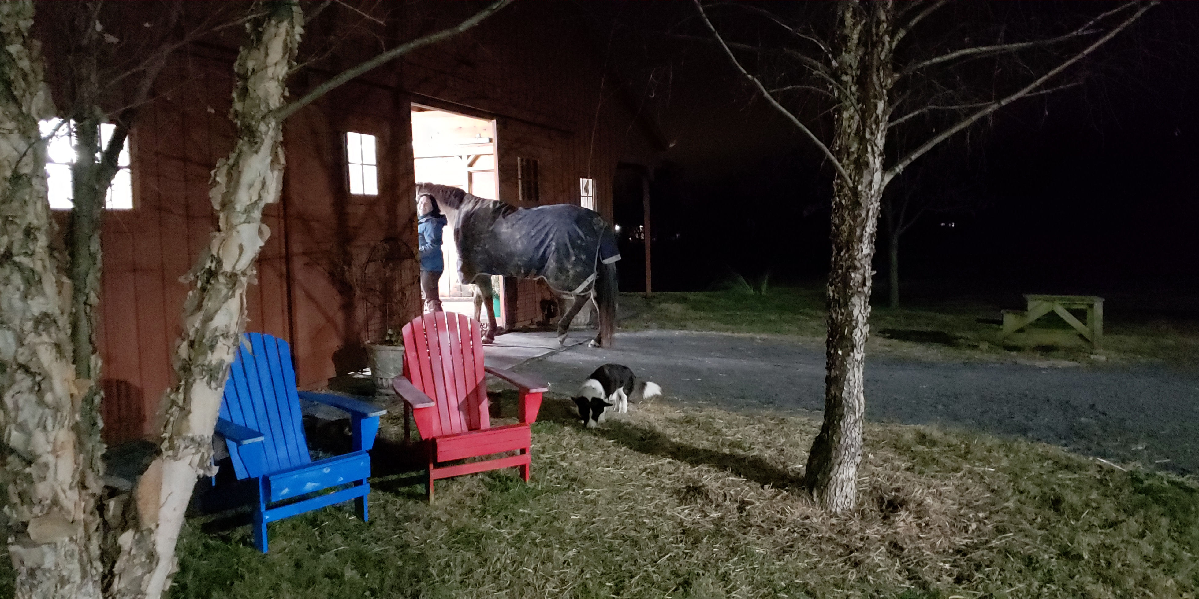 Leading a horse into the barn at night